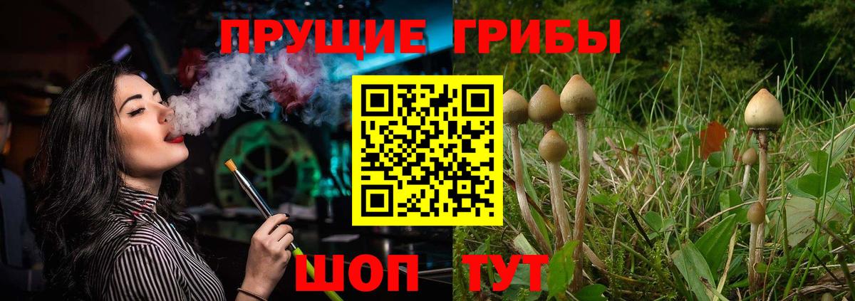 Чусовой  Галлюциногенные грибы MAGIC MUSHROOMS  Вход с VPN 