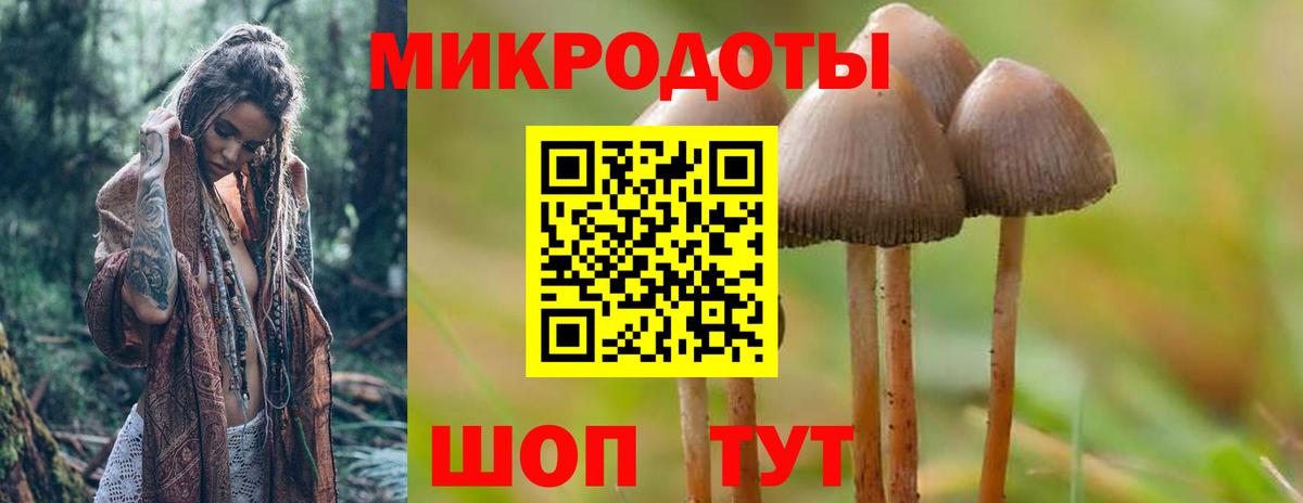 Галлюциногенные грибы мухоморы Чусовой